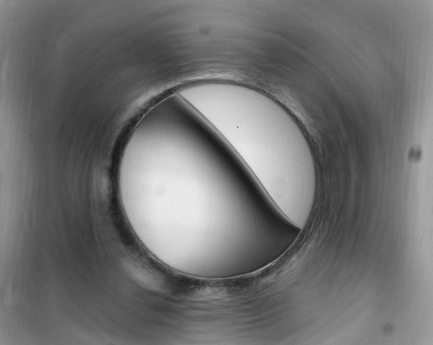 X0000102350252200808010942