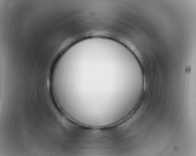 X0000102350253200808010942