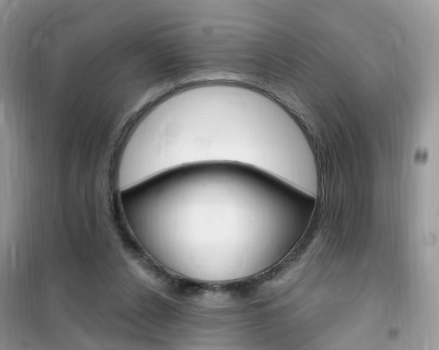 X0000102350256200808010942