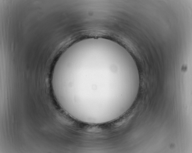 X0000102350258200808010942