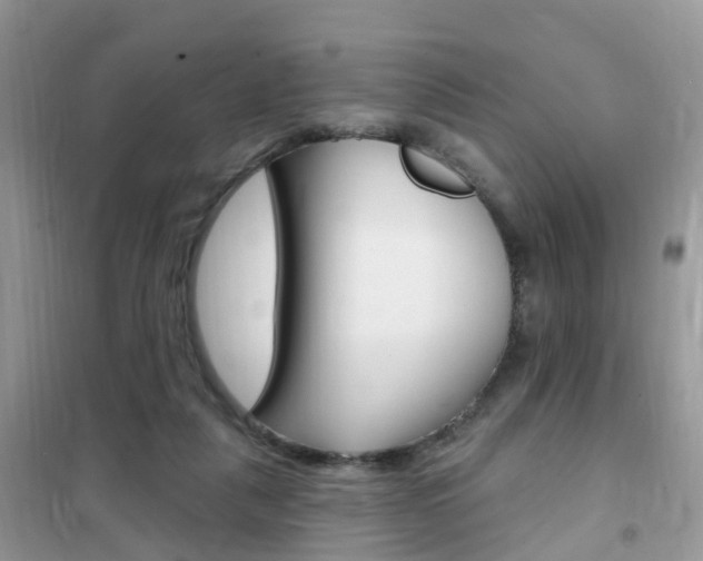 X0000102350259200808010942