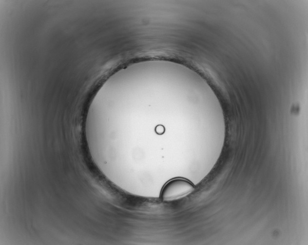 X0000102350260200808010942