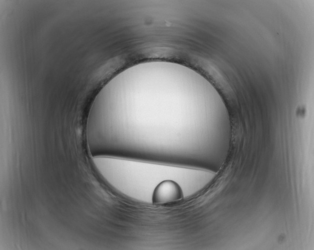 X0000102350261200808010942