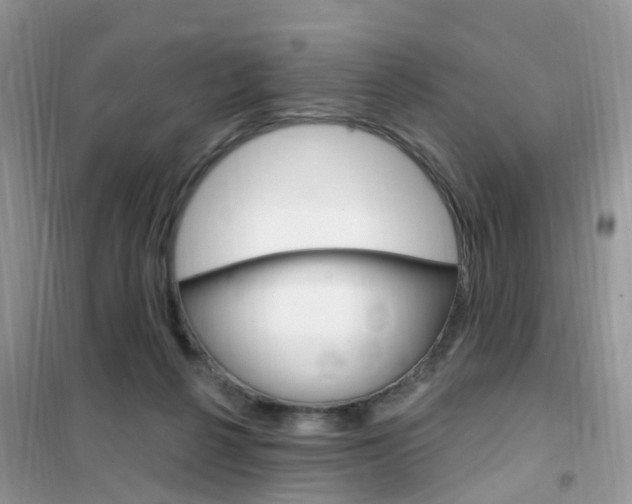 X0000102350264200808010942