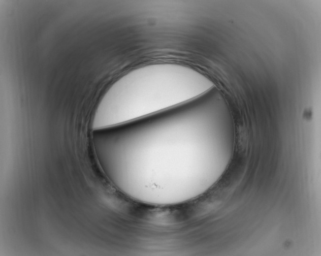 X0000102350267200808010942