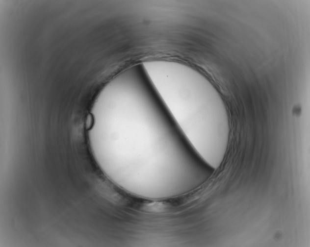 X0000102350269200808010942