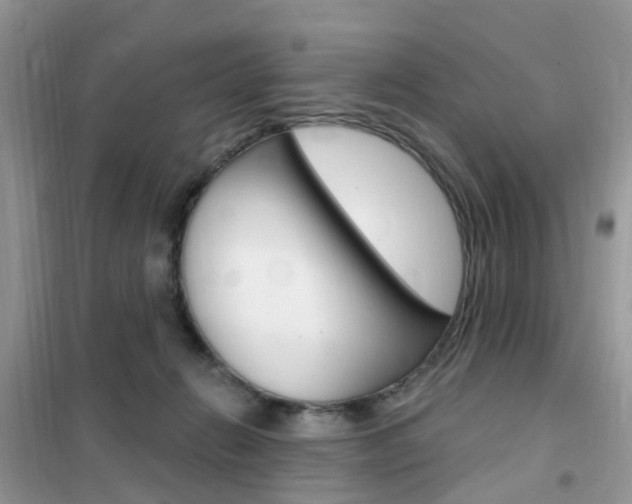 X0000102350270200808010942