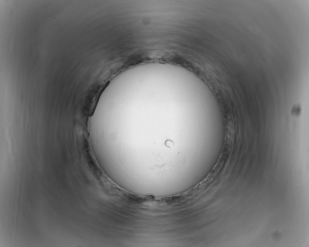X0000102350272200808010942