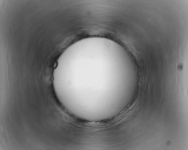 X0000102350273200808010943