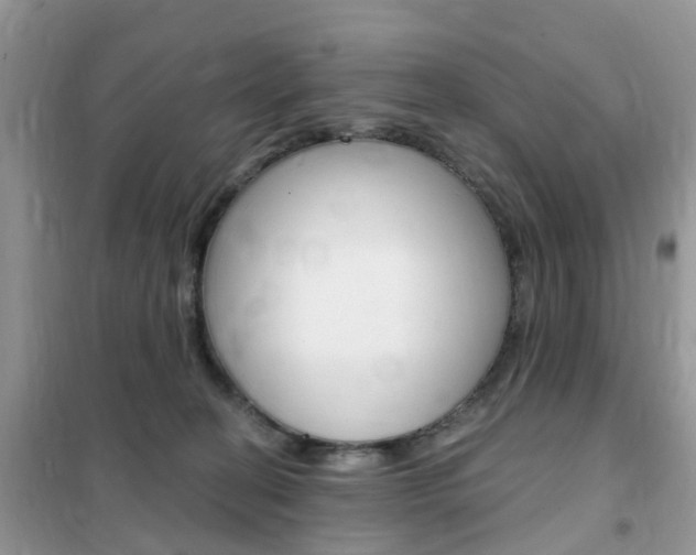 X0000102350274200808010943