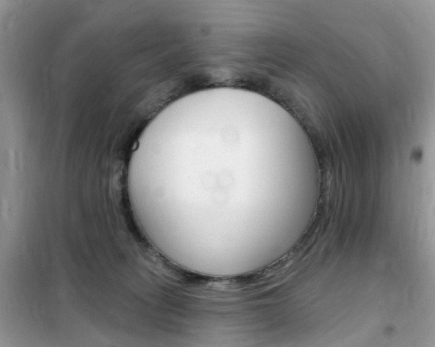 X0000102350275200808010943