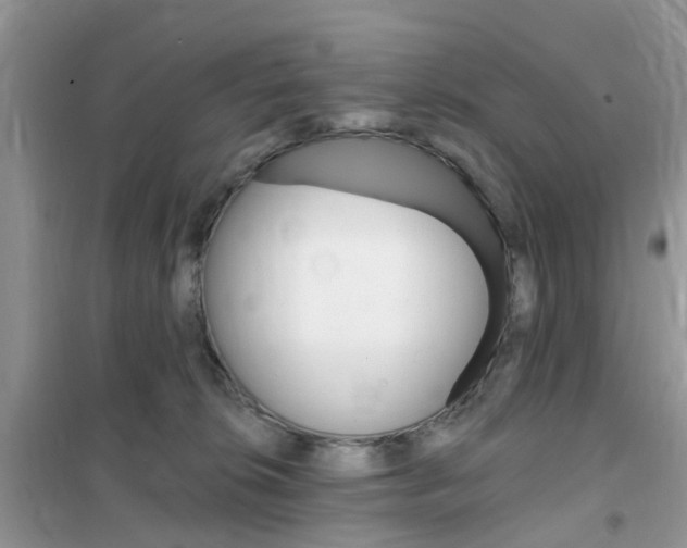 X0000102350276200808010943