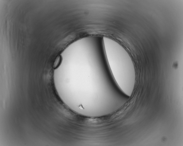 X0000102350277200808010943