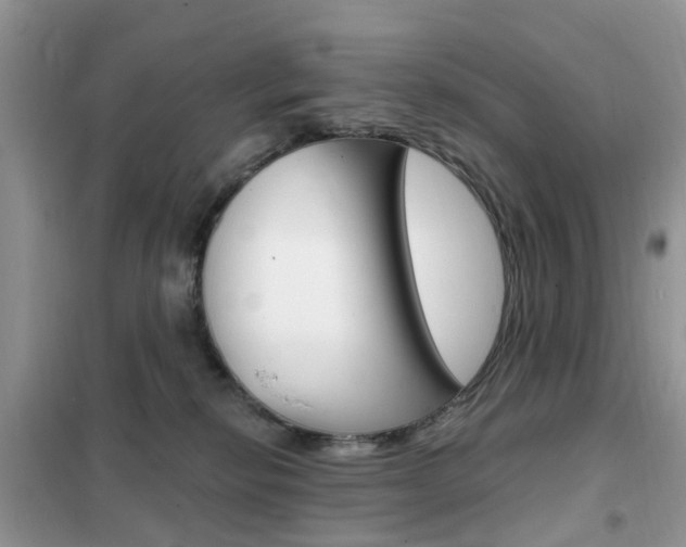 X0000102350278200808010943