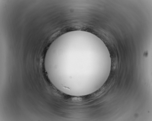 X0000102350279200808010943