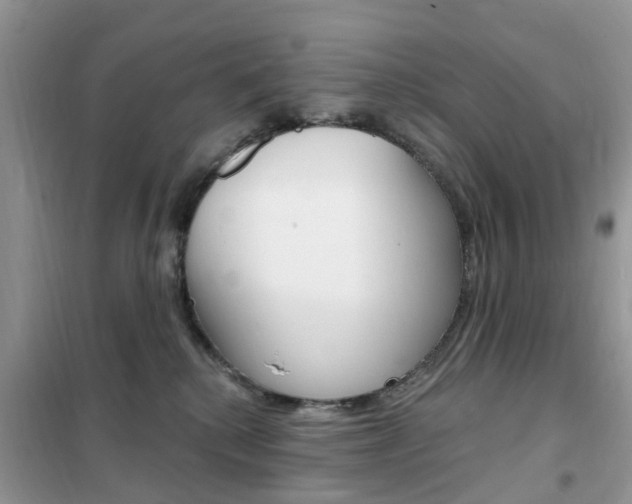 X0000102350280200808010943