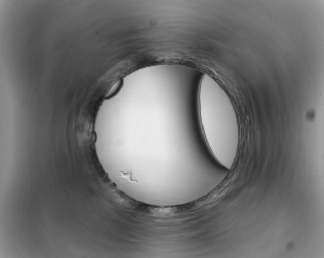 X0000102350281200808010943
