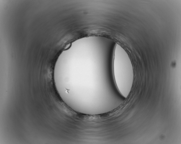 X0000102350282200808010943