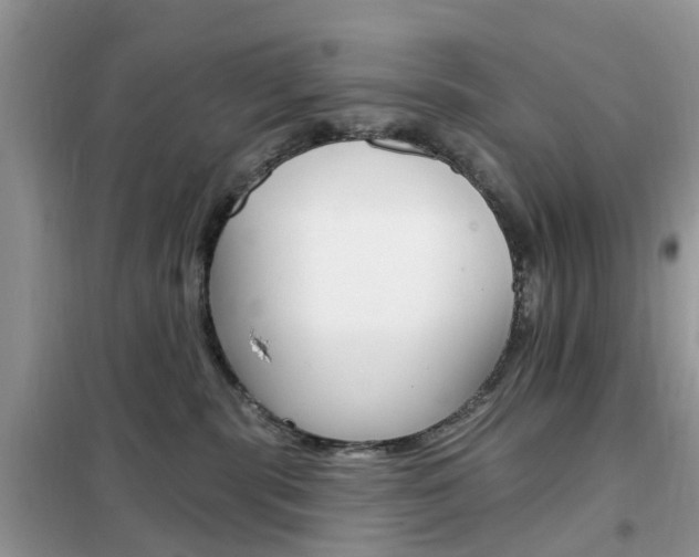 X0000102350283200808010943