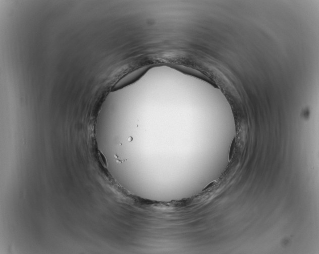 X0000102350284200808010943