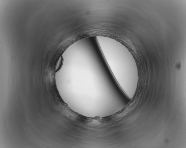 X0000102350285200808010943