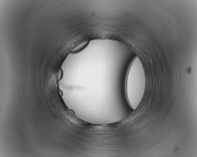 X0000102350286200808010943