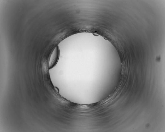 X0000102350287200808010943