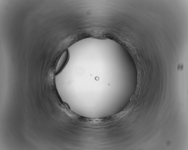 X0000102350288200808010943