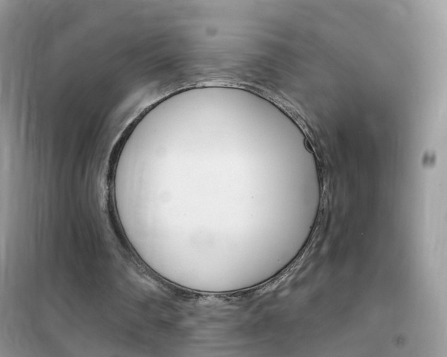 X0000102350290200808010942