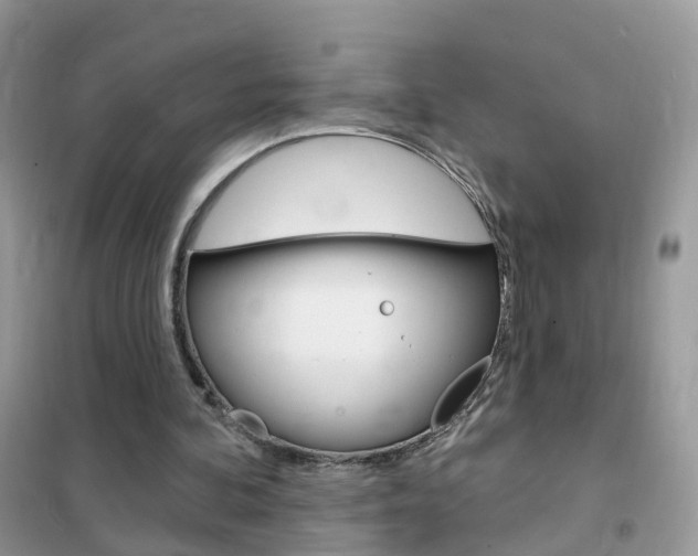 X0000102350292200808010942