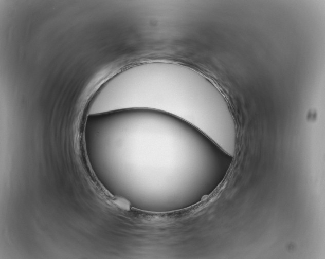 X0000102350293200808010942
