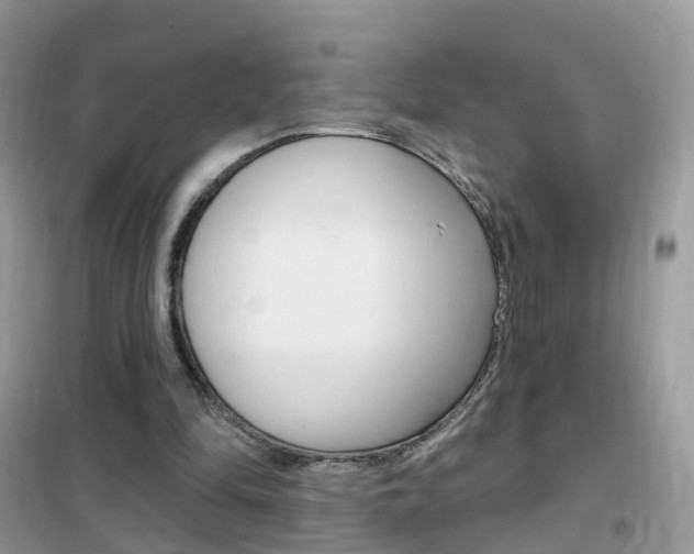 X0000102350294200808010942