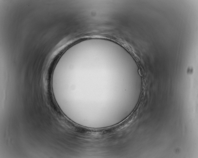 X0000102350295200808010942