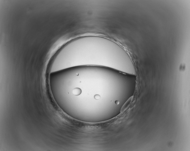 X0000102350296200808010942