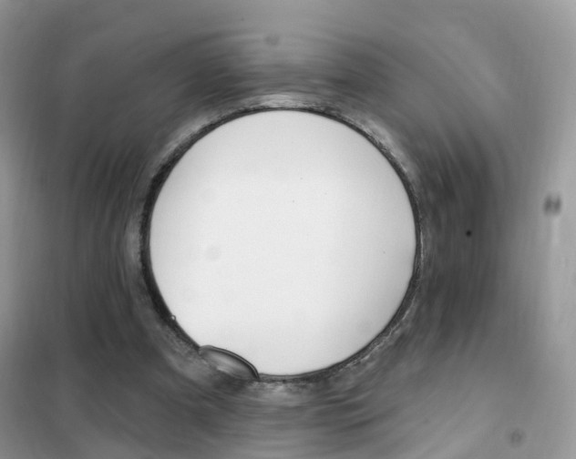 X0000102350297200808010942