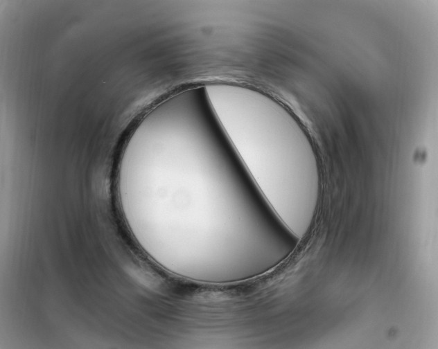 X0000102350299200808010942