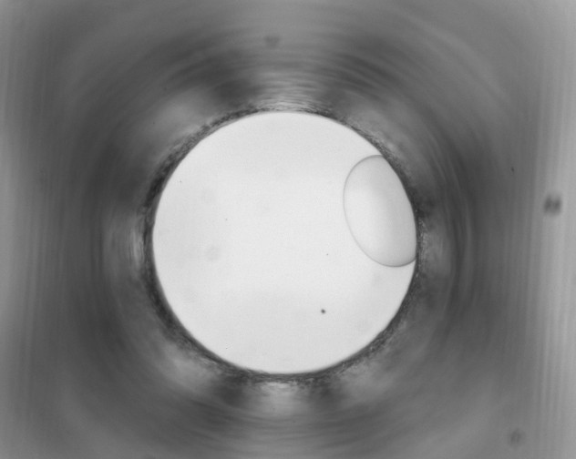 X0000102350302200808010942