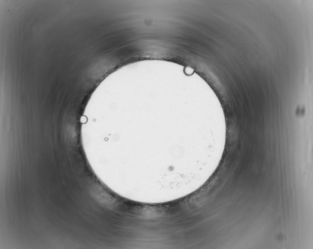 X0000102350305200808010942