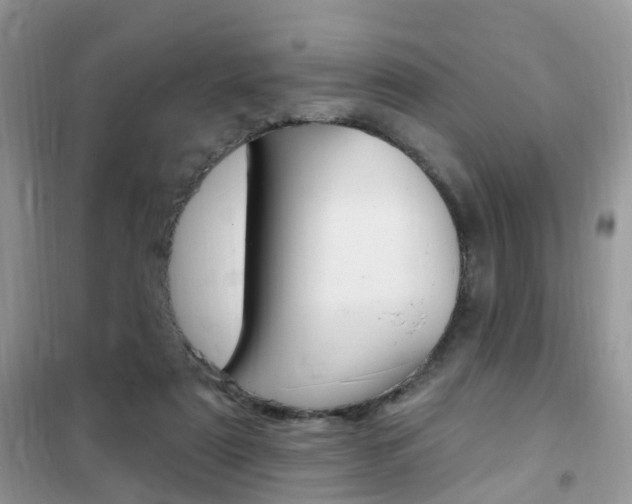 X0000102350307200808010942