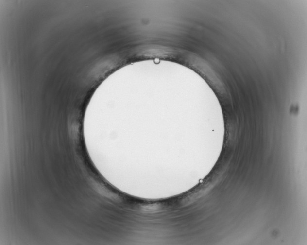 X0000102350309200808010941