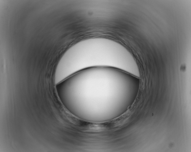 X0000102350316200808010941