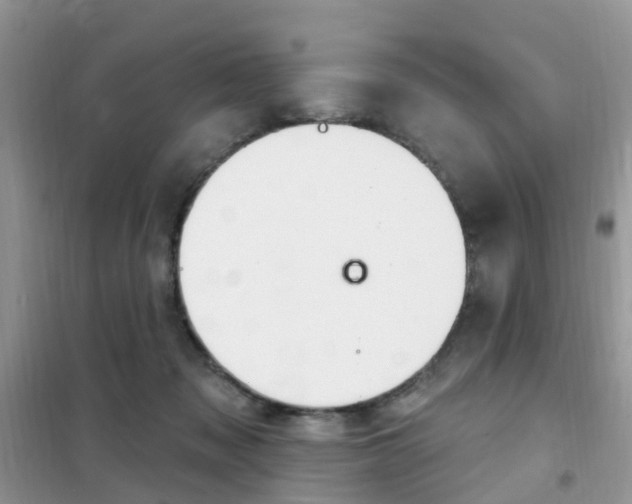 X0000102350317200808010941