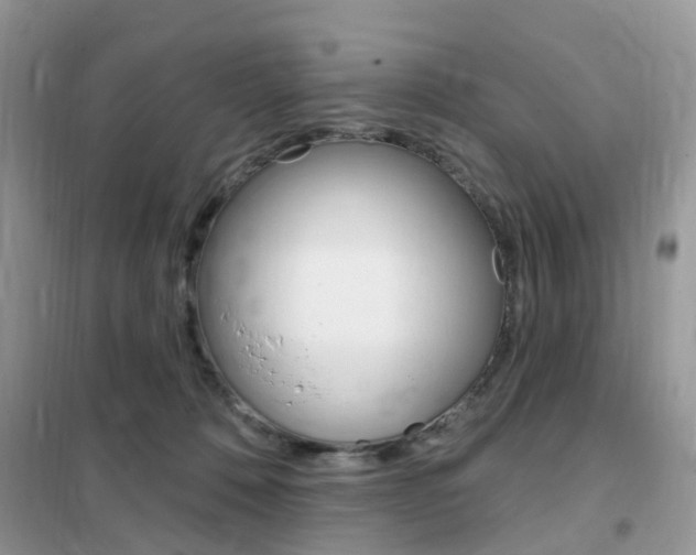 X0000102350320200808010941