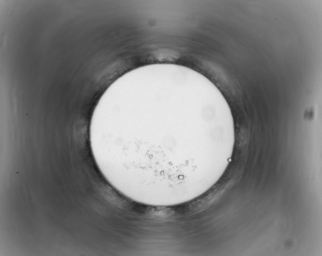 X0000102350321200808010941