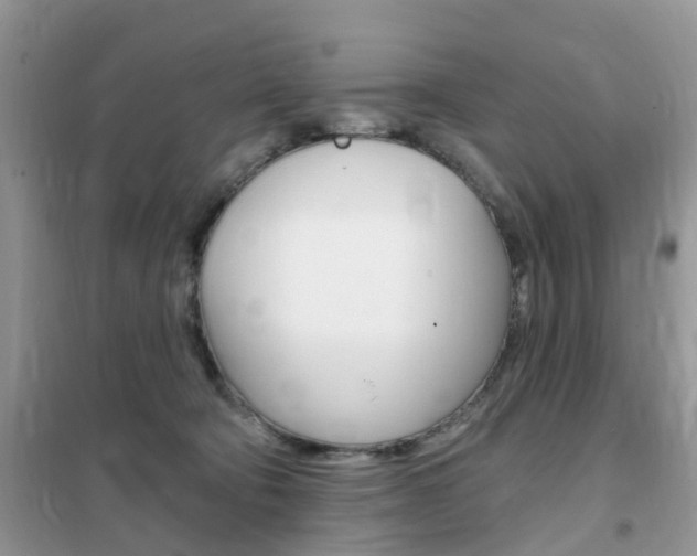 X0000102350322200808010941