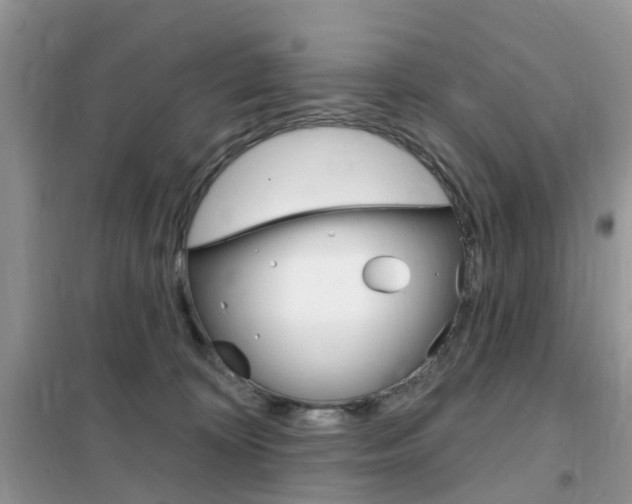 X0000102350324200808010941