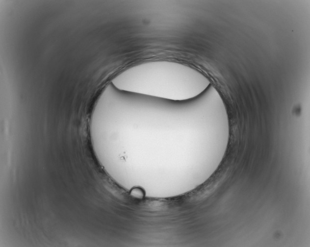 X0000102350325200808010941