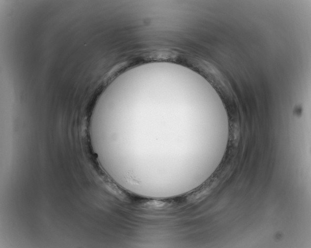 X0000102350326200808010941