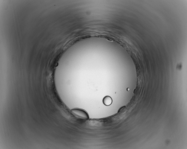 X0000102350327200808010941