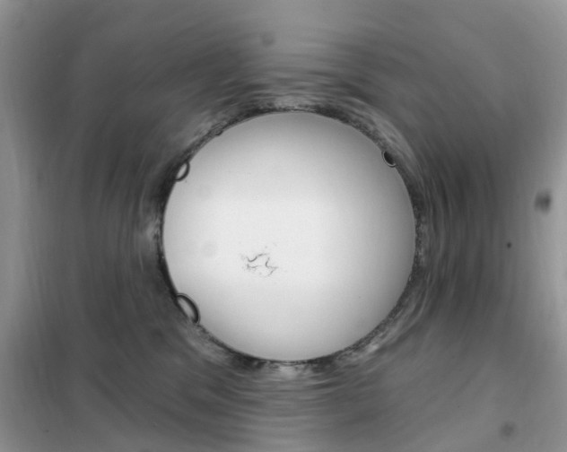 X0000102350329200808010941
